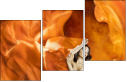 68781470