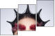 68880245