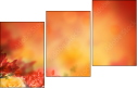 68917017