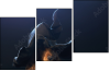 68921322