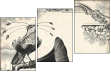 68960596