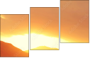 69150407