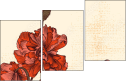 69151696
