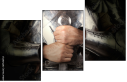 69546353