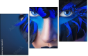 69641172