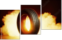 71231906