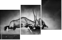 71412657
