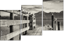 72072664