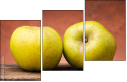 72103606