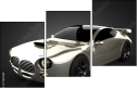 73645668