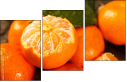 76269627