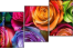 913577319