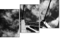 998443