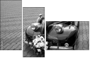 10672899