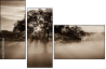 110890468