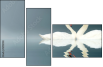 12112158