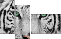 13468757
