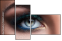 138254237