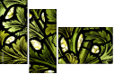 16903361