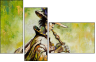 21588085