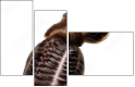 21787769