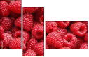 22816665