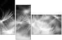 23180311