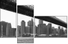 24117889