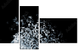 24792295