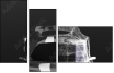 280625881