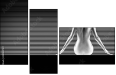 28069739