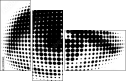 29211462