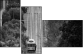 29227779