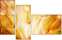 30258126