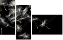 30521892