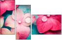 30909290