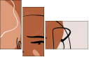 311289250