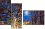 31860208