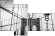 319353344