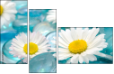 33105432