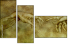 35198447