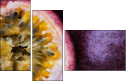 36705995