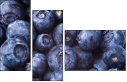 38114663