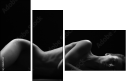 38857159