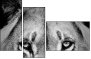 39012933