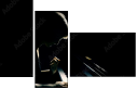 39076557