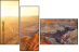 41805699