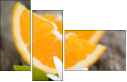 42360396