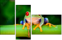 42467641