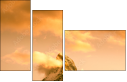42979292